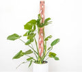 Treleaf Zella Regular Extension Kit by TRELEAF