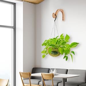 7-Inch Hanging Plant Brackets, Arc-Shaped Wooden Plant Hanger Indoor, Wall - Image 7