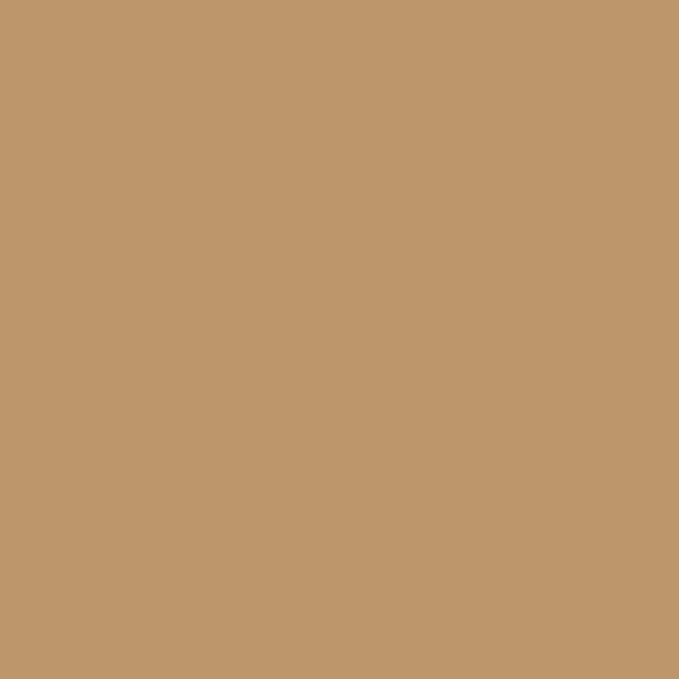 Sidewalls for 10x10 Pop Up Canopy, 210D Polyester Waterproof Canopy Sidewalls - Image 7