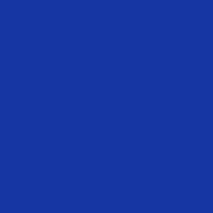Sidewalls for 10x10 Pop Up Canopy, 210D Polyester Waterproof Canopy Sidewalls - Image 7