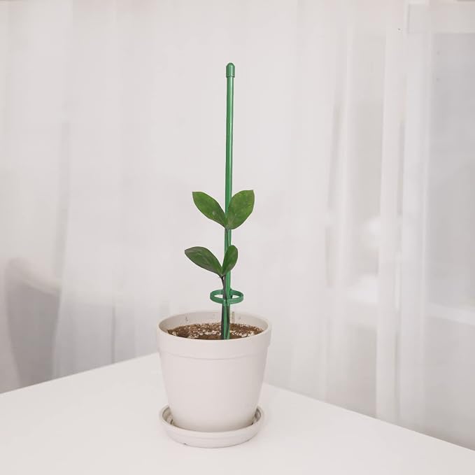 12 Inch Plant Support Stakes, - Image 2