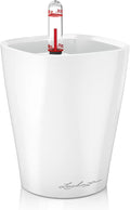 Lechuza MINI-DELTINI Cream White High Gloss, Self-Watering Small Indoor Planter by LECHUZA