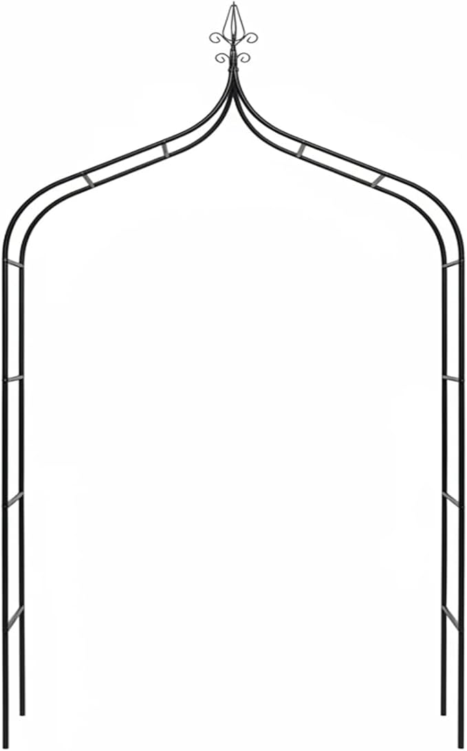 Thickened Metal Garden Arch, 16mm Pipe Diameter Heavy-Duty Gothic Garden Arbor by LeJoy+Garden
