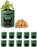 Delxo 10 Pack 10 Gallon Potato Grow Bags, Grow Bags by Delxo
