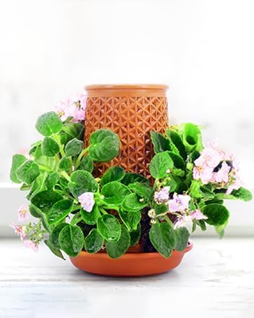 Plant Pots 5.7 Inch Self Watering Planters, Terracotta Pots - Image 7