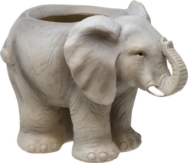 Spoontiques Decorative Flower Pots by Spoontiques