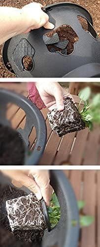 Ultimate Hanging Baskets - Image 8