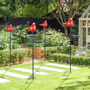 Bshine Solar Garden Decoration Outdoor Cardinal Lights, Hand Blown Glass - Image 7