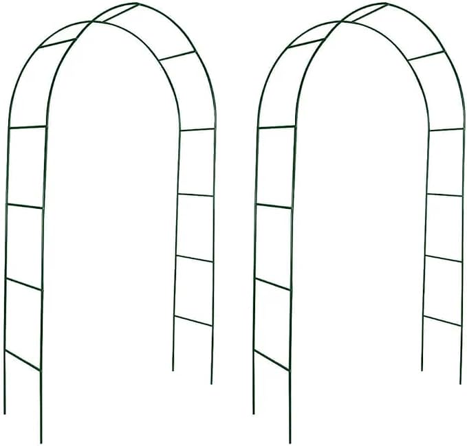 vidaXL 2 x Garden Arches, Climbing Plants, Rose Tree by vidaXL