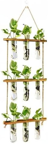 XXXFLOWER Wall Hanging Propagation Station - Image 8