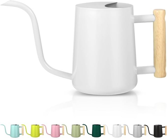 Watering Can Indoor Plants, 35oz Small Stainless Steel Metal Watering Can by GUKJOB