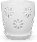 Oairse 6 inch Orchid Pots with Holes, Indoor Plant by Oairse