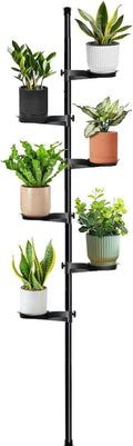 Tension Rod Plant Stand, Plant Poles by Zononoca