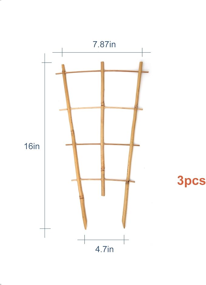 3Pack Bamboo Trellis 16 Inch Fan Shaped Small Plant Trellis - Image 3