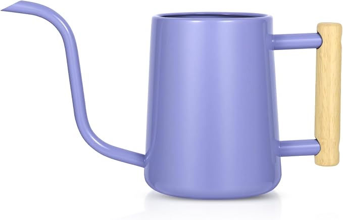 Watering Can Indoor Plants, 35 oz/1000 ml Metal Stainless Steel Watering Can Pot by Unknown