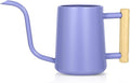 Watering Can Indoor Plants, 35 oz/1000 ml Metal Stainless Steel Watering Can Pot by Unknown