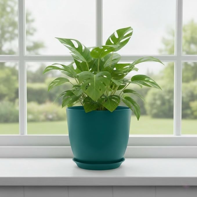 Plant Pots 8 Inch Set of 6, Flower Pots - Image 6