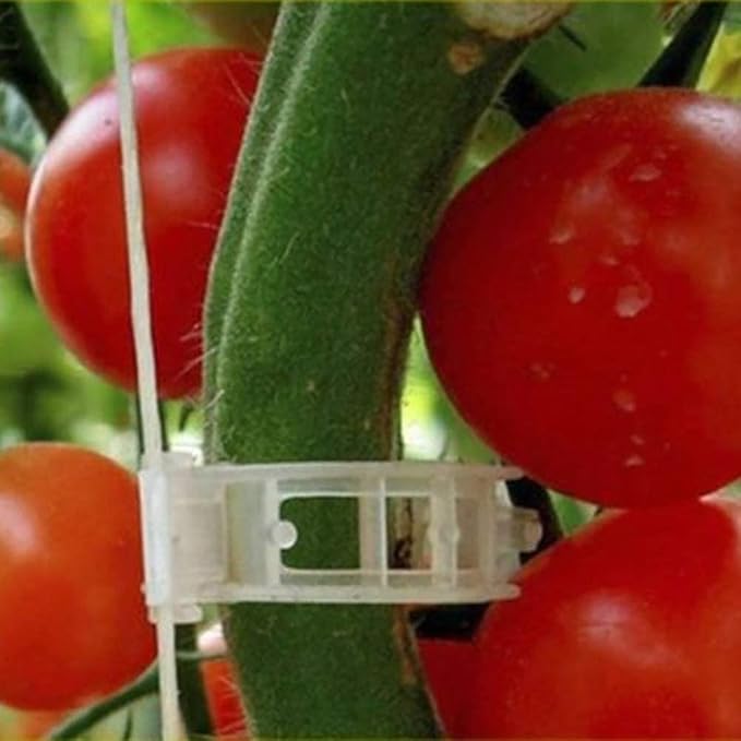 100PCS Plant Support Garden Clips Tomato Clips Supports/Connects - Image 3