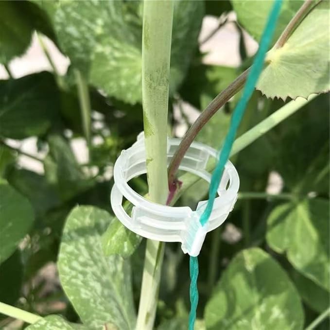 Piteno® 300Pcs Tomato Clips, Plastic Trellis Clips, Plant Support Clips by Piteno