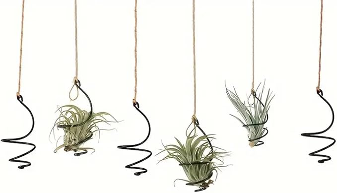 6 pcs set Hanging Air Plant Holder Air Plant Hanger - Image 2