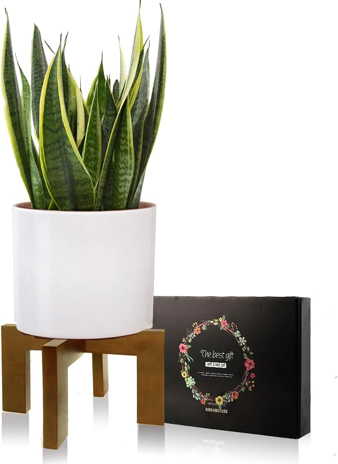 Wood Plant Stand, Mid Century Modern Planter Stand Rattan Flower Pot Stand - Image 2