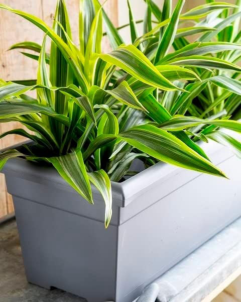 The HC Companies 28 Inch Romana Planter Box - Image 3