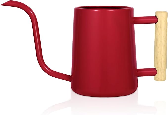 Watering Can Indoor Plants, 35 oz/1000 ml Metal Stainless Steel Watering Can Pot by Unknown