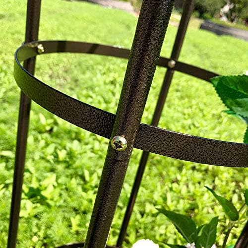 Garden Arch Trellis for Climbing Plants Rose Thicken Metal Wedding Arches Arbor - Image 5