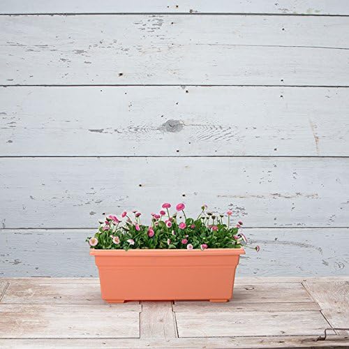 Novelty 16195, Terracotta, Countryside Flower Box Planter - Image 3