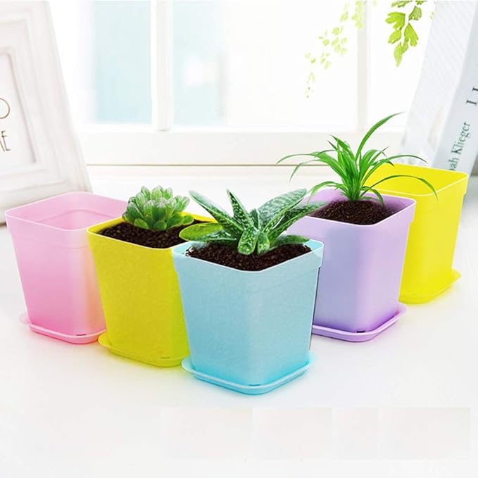 24 Pack 3inch Multi Color Square Plastic Plant Pots, Seedling Nursery - Image 4