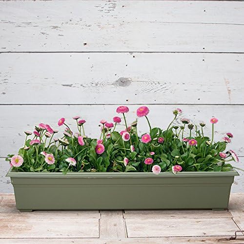 Root & Vessel 16360, Countryside Flower Box Planter - Image 3