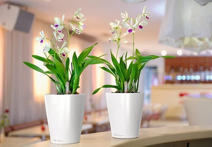 Lechuza 14900 Deltini Self-Watering Planter - Image 8