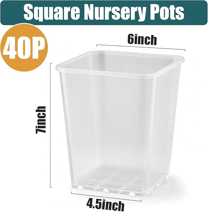 Nursery Pots 6 Inch 40 Pcs, Plastic Seed Starting Pot - Image 5