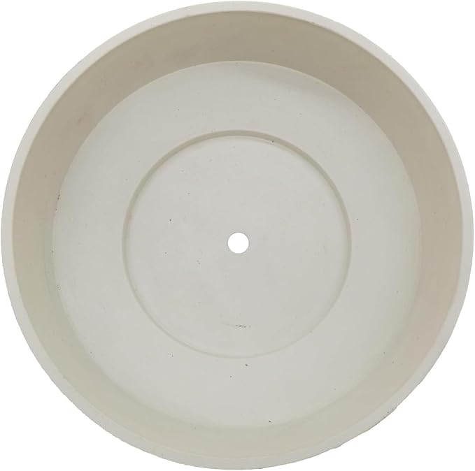 The HC Companies 8 Inch Round Plastic Succulent Capri Bowl Decorative Indoor - Image 2