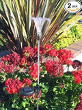Solar Powered Garden Stake LED Light by RELIGHTABLE