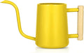 Watering Can Indoor Plants, 35 oz/1000 ml Metal Stainless Steel Watering Can Pot by Unknown