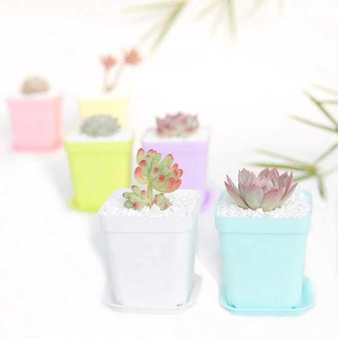 24 Pack 3inch Multi Color Square Plastic Plant Pots, Seedling Nursery - Image 6
