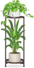 iDavosic.ly 2 Tier Corner Plant Stand Indoor, Tall Vertical Metal Flower Heavy by iDavosicly