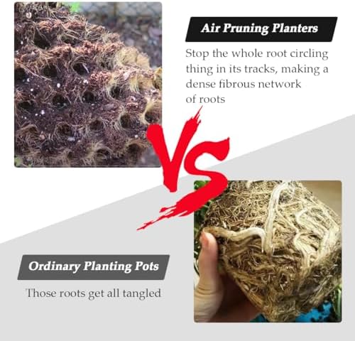 1 Gallon Air Pruning Containers, New Plastic Nursery Pots, Fruit Vegetable - Image 7
