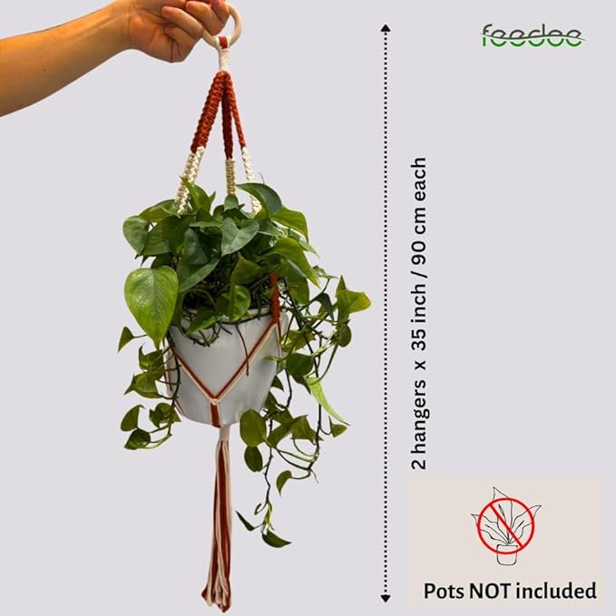 feedee 2 Pack Plant Hanger Indoor, Hanging Plant Holder, Macrame Plant Hangers - Image 5