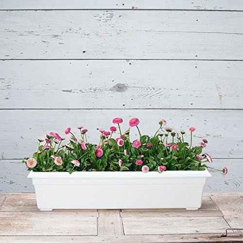 Root & Vessel Countryside Flower Box Planter - Image 3