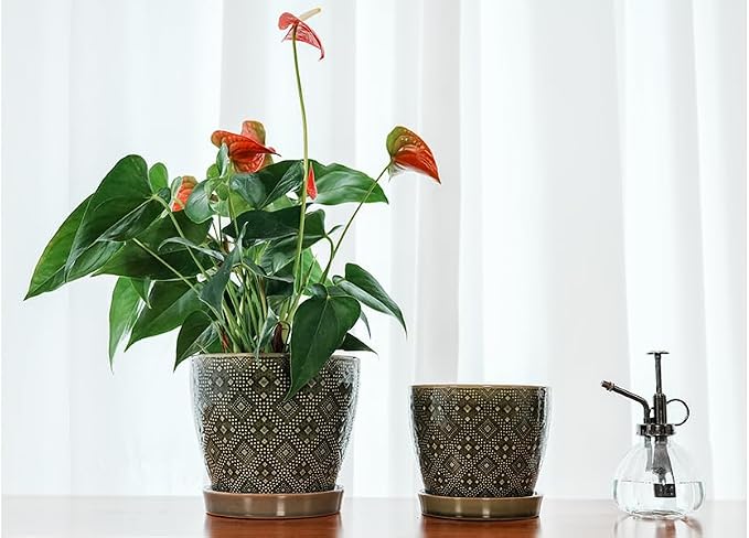Docrin Dark Green Ceramic Planter Set - Image 5