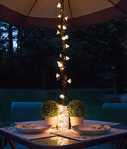 Magicnight Solar Mini Teeny Tiny Lights, Starry String Light - Image 3
