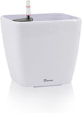 Dexceder 9x8 Self Watering Planter Indoor Outdoor, Inner Mat Design, Thickened by Dexceder