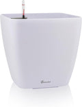 Dexceder 13x12 Self Watering Planter by Dexceder