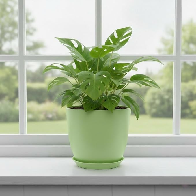 Plant Pots 8 Inch Set of 6, Flower Pots - Image 6