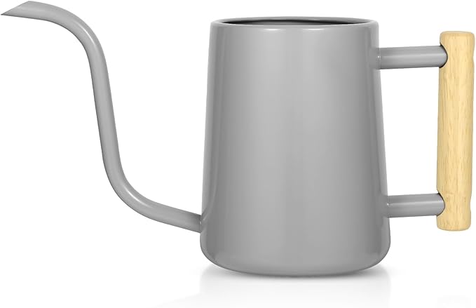 Watering Can Indoor Plants, 35 oz/1000 ml Metal Stainless Steel Watering Can Pot by Unknown
