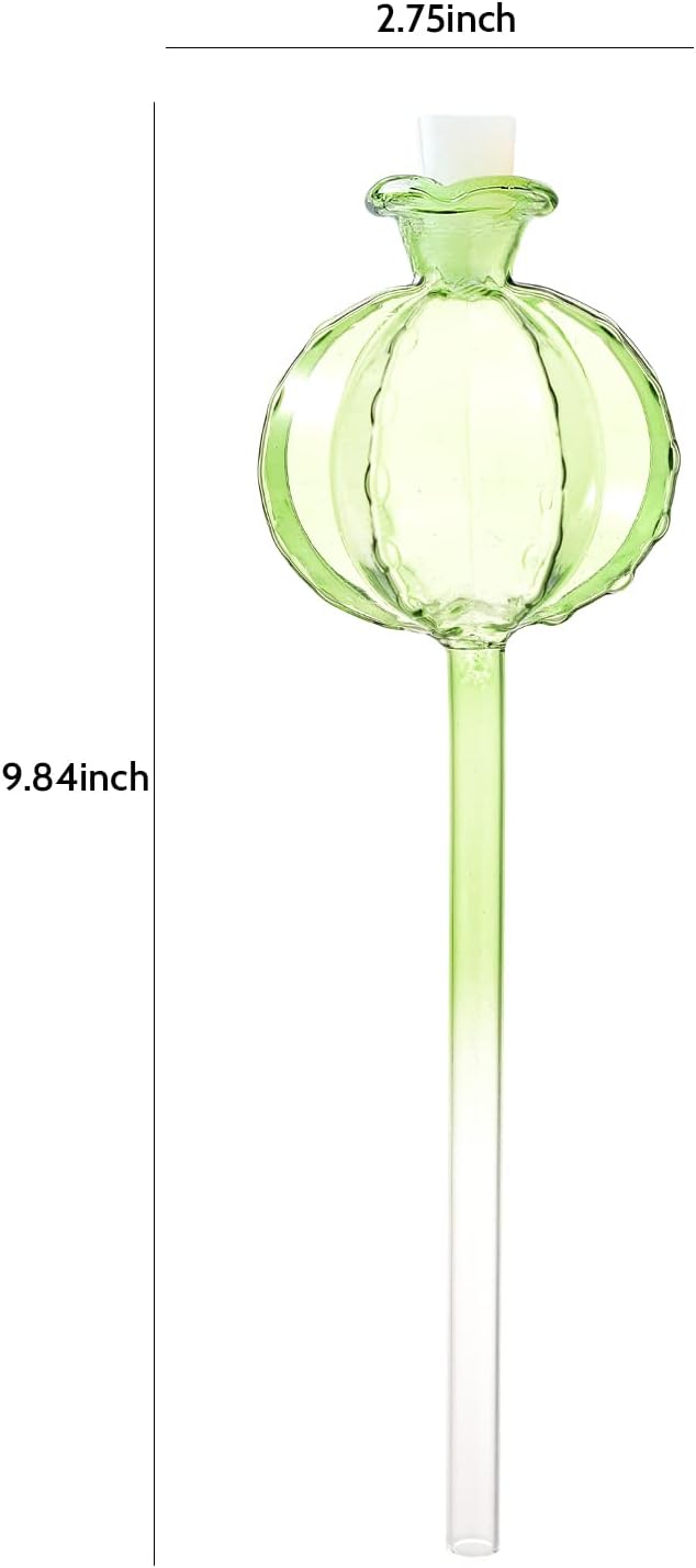 Self Watering Planter Insert. Plant Watering Devices. 3-Pack Cactus Plant - Image 2