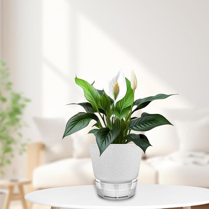 2024 Upgraded 5 Pack 6-Inch Self-Watering Planter Pots - Image 7