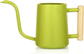 Watering Can Indoor Plants, 35 oz/1000 ml Metal Stainless Steel Watering Can Pot by Unknown
